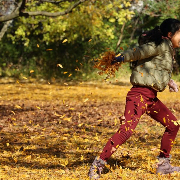 Kansenongelijkheid op natuur: dat wil het jeugdeducatiefonds aanpakken