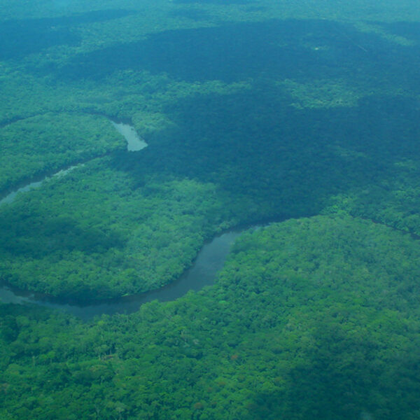 Verborgen klimaatbom in Congo wordt beschreven in 'koolstofkoorts'