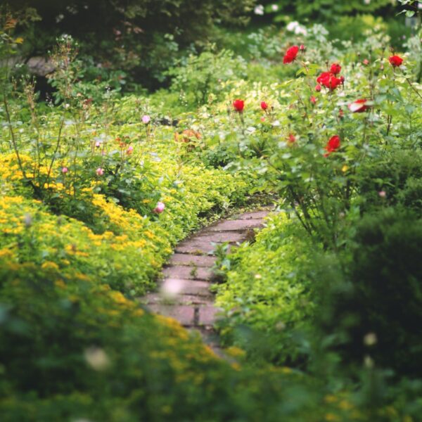 Stenen eruit, groen erin: wie gaat naar huis met de Steenbreektrofee 2023?