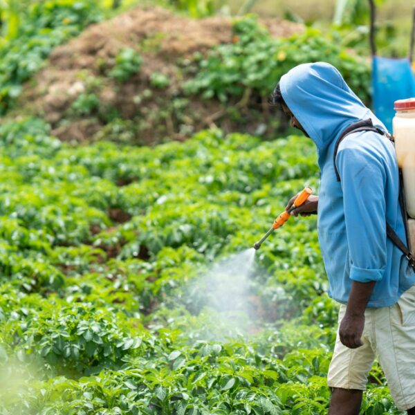 Kritiek op pesticidegebruik leidt tot doodsbedreiging: 'Nederlandse samenleving grijpt te snel naar geweld'