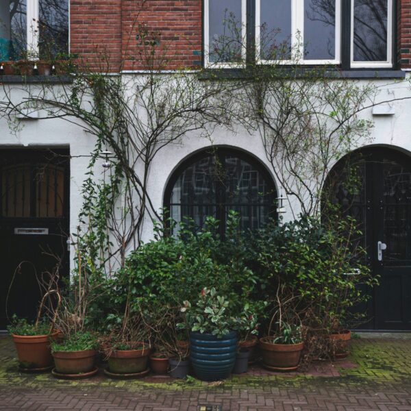 'Vanaf nu was ik die nieuwe buurvrouw: een yup met schijt aan biodiversiteit'