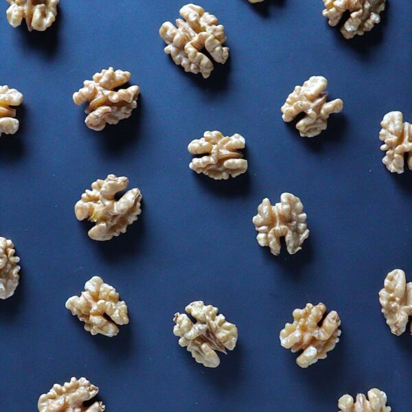 Nederlands brein vormt basis voor onderzoek naar hersenziektes wereldwijd