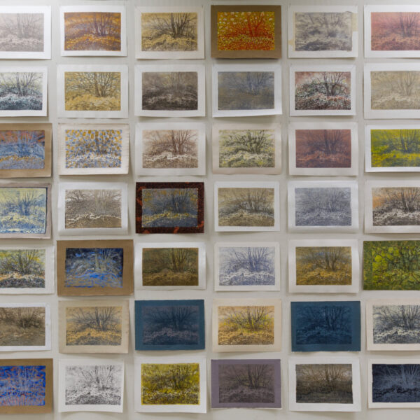 Hetzelfde bosje is al zeker 300 keer afgedrukt: 'Maakt allemaal een eigen emotie los'