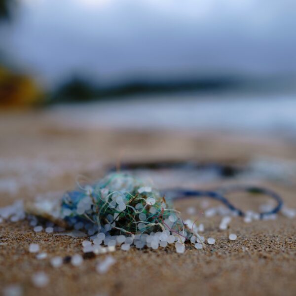 'De mens verziekt de leefomgeving en vervolgens verziekt de leefomgeving de mens'