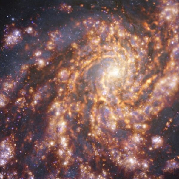 IVF in de ruimte? 'Idee dat mensen zich buiten aarde willen voortplanten, komt steeds dichterbij'