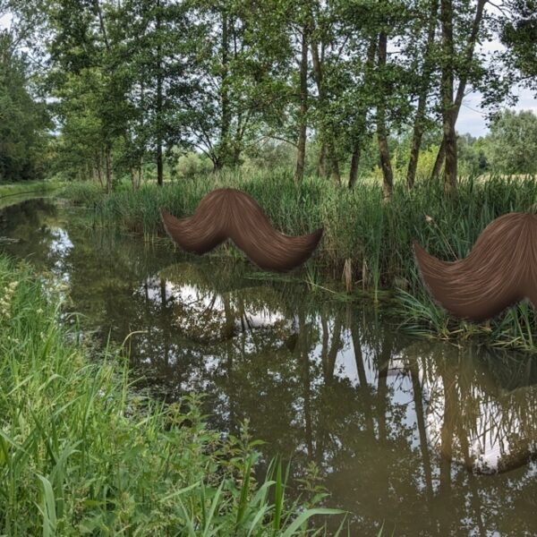 Snor laten staan: dat helpt de biodiversiteit!
