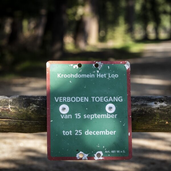 Natuurgebieden afgesloten om te beschermen tegen recreanten: 'Natuur heeft te lijden'