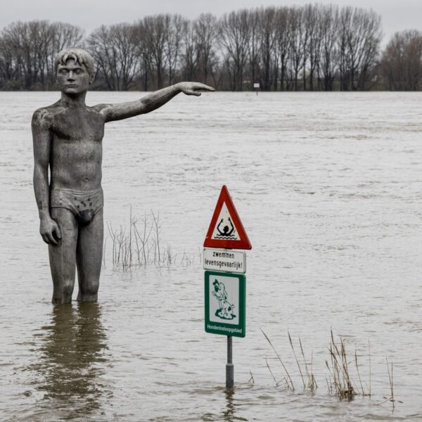 Hoe gevaarlijk is het om in de Waal te zwemmen?