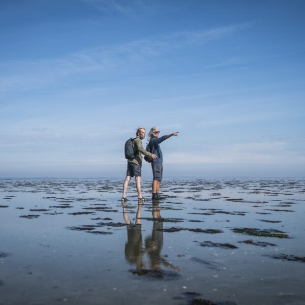 Wadden niet goed beschermd: 'Constante discussie tussen economie en ecologie'