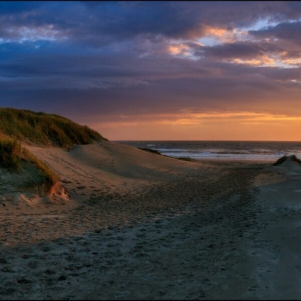 Een zomerse dag in de duinen met Dolf Jansen eindigt in 20 seconden vallen