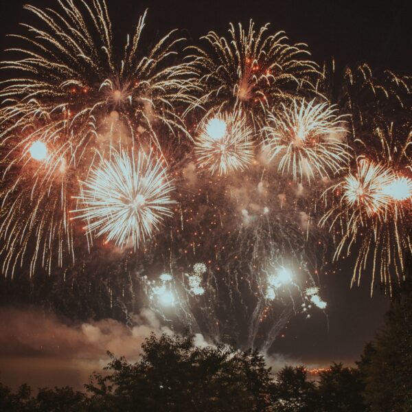 Miljoenen vogels in Nederland hebben jaarlijks last van vuurwerk rond Oud en Nieuw