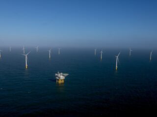 Is een windmolenpark op zee slecht voor vissen?
