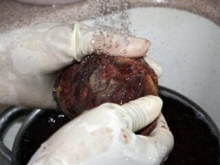 Het ondergeschoven kindje: de placenta