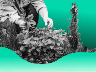 Provincies onderzoeken 1600 potentiële PFAS-locaties