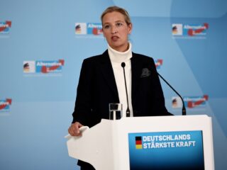 'AfD als extreemrechts bestempelen is stap richting partijverbod'