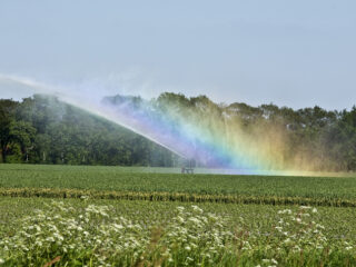 'Nederland wordt steeds vaker een droogteland'