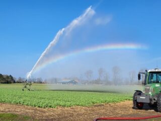 Drie redenen waarom het zo droog is: het is niet alleen het uitblijven van regen