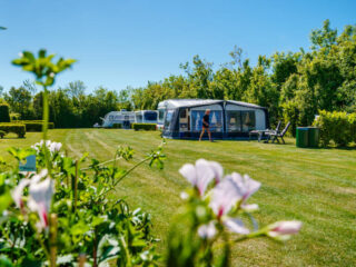 'Verroompotisering moet stoppen': campings vaker opgekocht door grote ketens