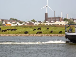 Waterbedrijven willen dat Duitsland stopt met vele PFAS-lozingen in de Rijn