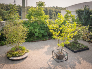 Zwevende boom maakt vergroenen op daken makkelijker
