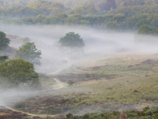 Zonder de natuurherstelwet blijft de rekening van natuurverlies oplopen