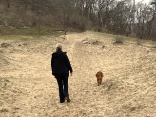 Wandelen helpt bij verwerken van verlies, is te lezen in 'Het sneeuwklokjesbos, een wandeling'
