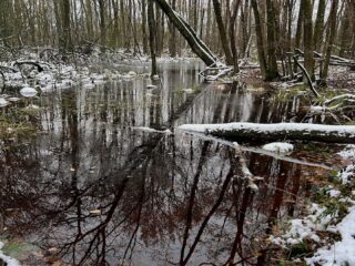 Potkleibossen: dit zijn de overblijfselen van de Middeleeuwse industrie
