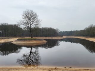 Stuk van de A27 werd omgetoverd tot een prachtig natuurgebied