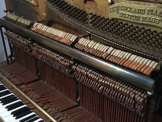 Zit muzikaliteit in je DNA?