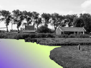 Illegale bestrijdingsmiddelen in Nederlands oppervlaktewater