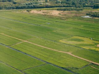 Is ruilverkaveling dé oplossing voor boer en natuur?
