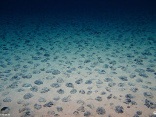 Podcast Kennis & Co: Mogen we de diepzee slopen voor onze autobatterijen?