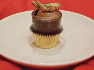 Insectenburgers en vliegenlarvenschotel: is dit het eten van de toekomst?