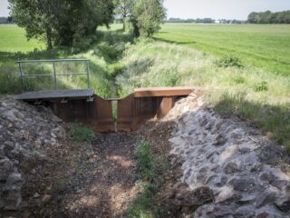 Amper regen en veel zon, droog voorjaar komt steeds vaker voor