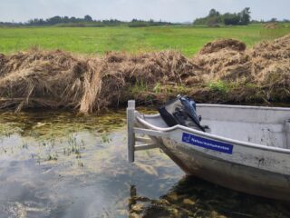 Bootvaarders opgelet: gooi planten uit de schroef niet terug in het water