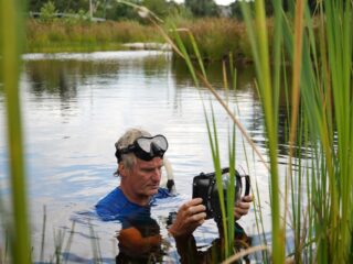 Nieuw natuurgebiedje onder water