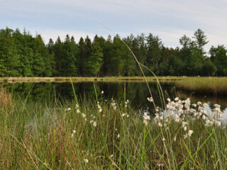 'De biodiversiteitscrisis is geen mening maar een wetenschappelijk feit'