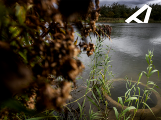 Veel meer PFAS in pesticiden: grote zorgen om drinkwater