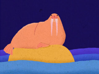 Tapir in Nederland: zo klonk het hier 2,6 miljoen jaar geleden!