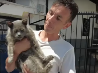 Chileense gevangenen knuffelen massaal met katten