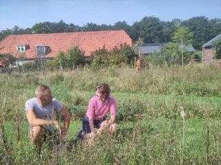 In een streektuin vind je alleen maar inheemse planten