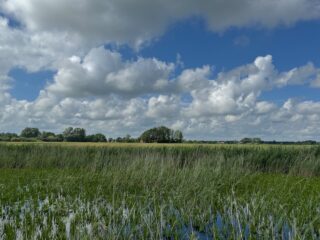 Zet 'De Dulf' niet onder water!