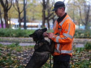 Speurhond Dora beschermt de iepen van Amsterdam
