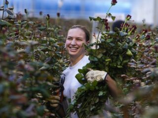 'De werkelijke kwestie is streven naar fatsoenlijke werkomstandigheden'