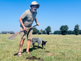 Groen gras zónder te sproeien? Hoe doet 'ie dat?