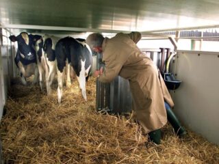 Podcast De Dag: MKZ: wel vaccins, niet inenten