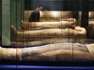 Rijksmuseum voor Oudheden bestraft door Egypte om 'afrocentristische' tentoonstelling