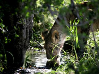 Ervaringen en herinneringen van luisteraars van Met het Oog op Morgen