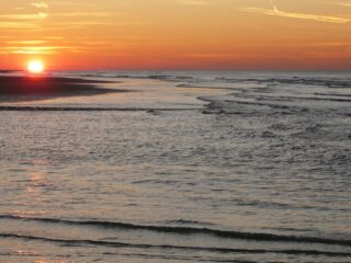 Overbevissing van de pijlinktvis in de Noordzee