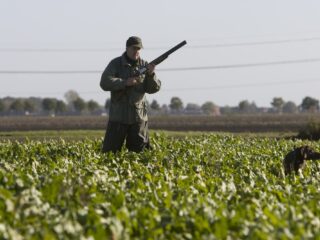 Het jachtseizoen is begonnen: jagers worden met de dood bedreigd